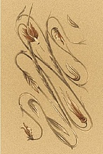OPAL DANAE sahara