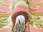 90 LINE WOOLEN HANDK-KNOTTED SHD-3 PINK Овал