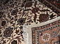 SAROUKH Cream Brown