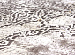 ARMODIES 18945 020