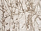 SAMIRA 32991 070 BEIGE