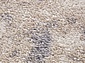 TORNADO F152 BEIGE
