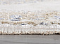 MOSSO 27226 BEIGE / BLUE Овал