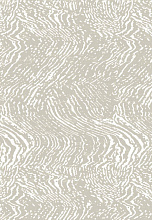 SIRIUS F519 GRAY