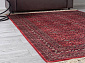 BELUCHI 961557 1616 V