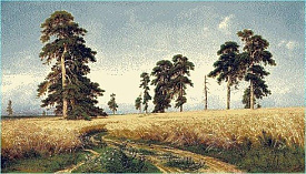 Пейзажный ковер РОЖЬ