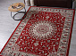 GAVANA D409 RED