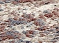 Ковровая Дорожка RODOS 7435A L.BLUE / CREAM