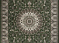 GAVANA D409 GREEN
