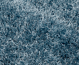 SPAGHETTI Blue 