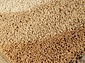 длинноворсовый  Highline  2443 9102 sand