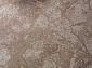 ALABAMA F175 BEIGE
