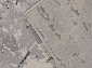 Ковровая Дорожка LIMAN F169 CREAM-D.GREEN