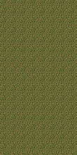 LAGUNA CS03 GREEN