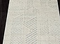 TUNIS 6801A WHITE / L.GRAY