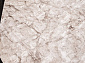 ARMINA 04074A BROWN / BROWN Овал