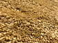 COMFORT SHAGGY 2 S600 LIGHT YELLOW 2