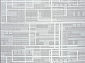 ADALIN 00019A GREY / WHITE