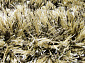 RHAPSODY 25-01 607 Круг V