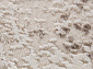 ARMINA 04091A BROWN / BROWN Овал