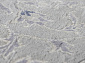 Индия шерсть шелк 14x14 863 SILVER/BLUE
