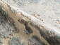 MEBELLIERY APATITE 