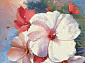 HUNNU Цветы 6A2362 165