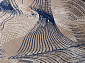 ANTEP LT1156 735 BEIGE / NAVY