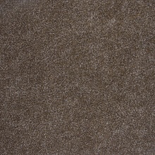Ковровая дорожка Gent 3m 0300 BRUIN V