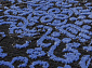 VISKONTI 30595A_BH6_13 BLACK / BLUE