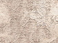  ALABASTER Rosan W cocoa