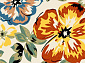 CRYSTAL NC55 CREAM-ORANGE