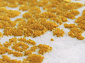 TRUVA 08405Y YELLOW / YELLOW
