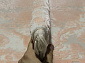 TRUVA 08311P PINK / PINK Овал