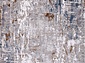 CASABLANKA 9763A BLUE / BEIGE
