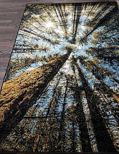 CRYSTAL C026 MULTICOLOR