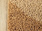 длинноворсовый  Highline  2443 9102 sand