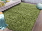 SWITZERLAND  Green