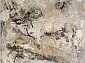 ARGENTUM 63825 9243