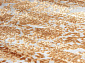 TRUVA 08405C ORANGE / ORANGE