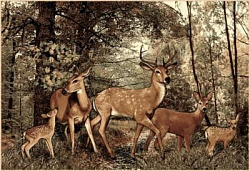 Ковер Фауна 50533 Олени