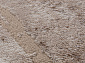 ALABAMA F176 BEIGE Овал