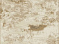 Ковровая Дорожка NIKA PR02 BEIGE