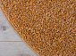 LANA T600 BEIGE 7 Овал