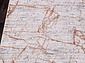 DIOR 5851B GREY - RUST