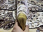 NIGIN MANOLYA IRANI 8077 BEIGE Овал