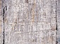 ERVA 18106 L.GRAY / D.GRAY
