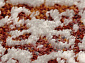 PAMIR 7251A WHITE / WHITE