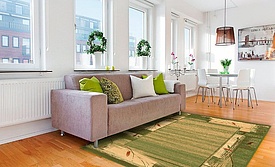 STANDARD ERBA chrome