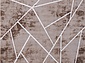 PANAMA PN004B BROWN / BROWN